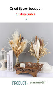 Hot seller boho décor <span class=keywords><strong>bouquet</strong></span> de <span class=keywords><strong>fleurs</strong></span> sèches pampa pour la décoration de mariage - Product Image 5