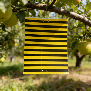 Trampa Adhesiva Amarilla para Abejas 20x25cm con Franja Biónica para Avispas, Protege a los Polinizadores en Invernaderos y Granjas Orgánicas contra Pulgones, <span class=keywords><strong>Moscas</strong></span> Blancas y Trips - Product Image 1
