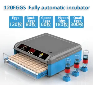 Incubadora automática de huevos de pavo <span class=keywords><strong>real</strong></span>, máquina para incubar huevos de <span class=keywords><strong>gallina</strong></span>, 300, hecha en China - Product Image 6