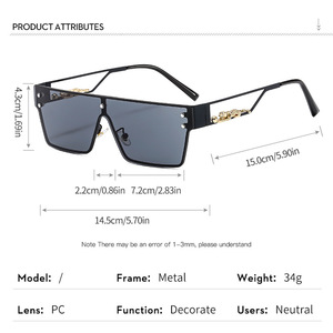 Occhiali da Sole Polarizzati Nuovo Stile 2025, Bestseller Transfrontaliero, Monopezzo Antivento UV400 con Dettagli Fantasia Ghepardo e Montatura in Metallo - Product Image 4