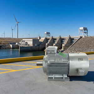 Generador Magnético de 10kw, Sistema Hidroeléctrico de Accionamiento Directo PMG, Elimina la Caja de Cambios para Mayor Fiabilidad - Product Image 4