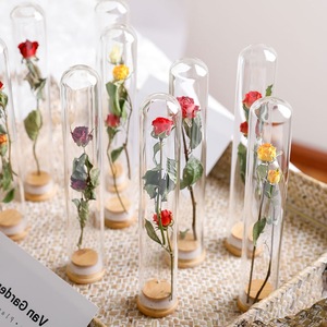 520 regalo del Día de San Valentín regalo de compañía nupcial tubo de ensayo ramo de flores secas flor <span class=keywords><strong>eterna</strong></span> pareja botella de deseos - Product Image 1