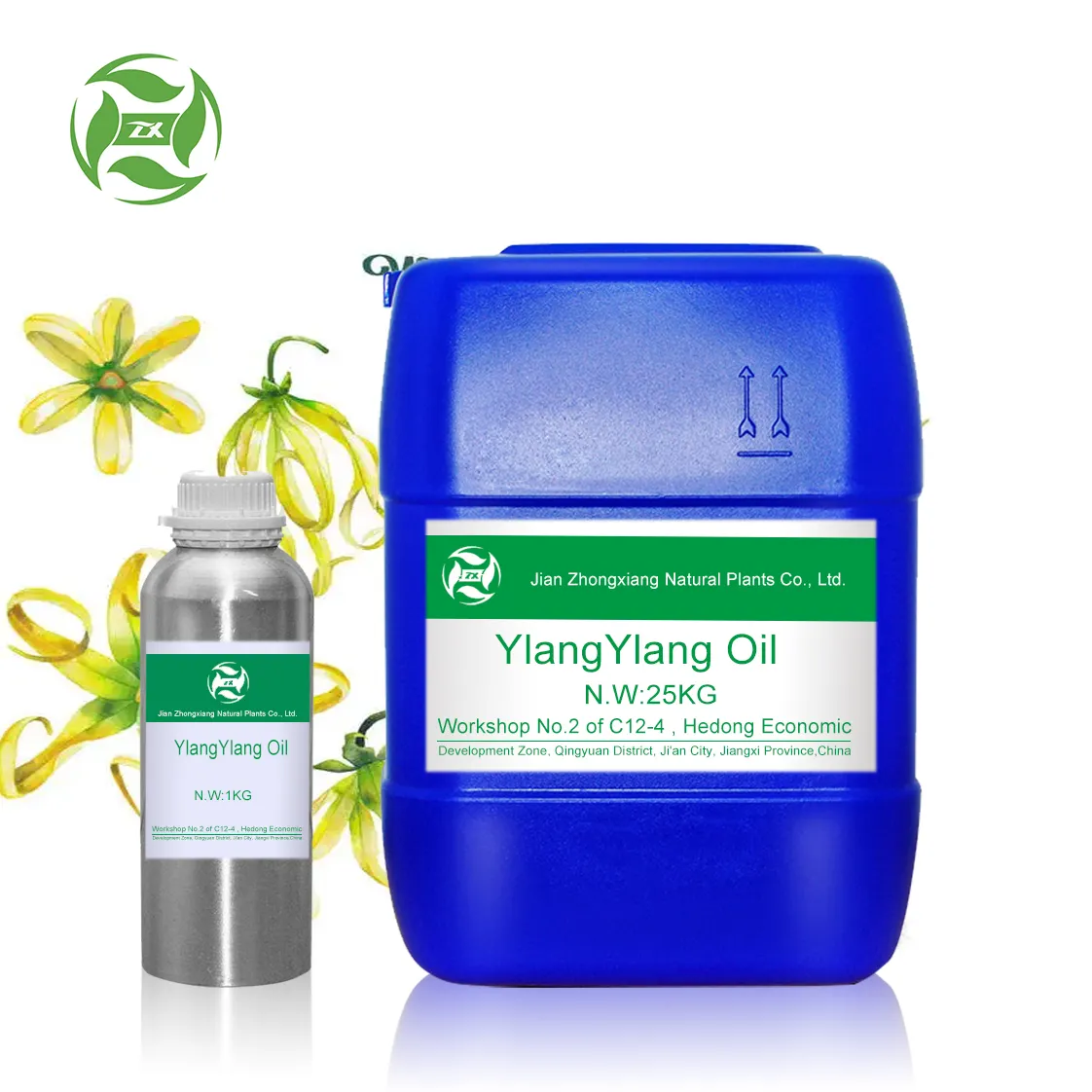 Ylang ylang olio essenziale naturale al 100% CAS 8006-81-3 Aroma con il prezzo poco costoso di Vendita alla rinfusa