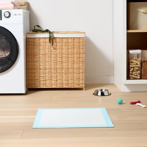 Hot Sales Super Absorbent Pet Diaper Dog Training Pee <b>Pads</b> Disposable Urine Nappy Mat for Cats Dog Diapers Cage Mat Pet Supplies - Product Image 3