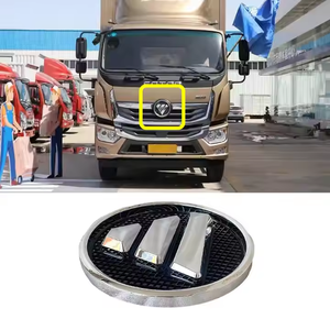 Foton Original Truck Parts Omac Hornet CT9 Olling Grid New Condition Assembly to Net Standard - Product Image 4