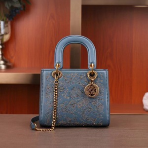 Sacs à main bandoulière haut de gamme 2024, sacs polyvalents inspirés de la princesse <span class=keywords><strong>Diana</strong></span> avec fermeture éclair pour femmes, style <span class=keywords><strong>Lady</strong></span>. - Product Image 3