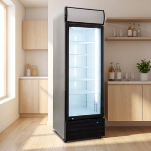 Refrigerador Exhibidor de Bebidas Enfriado por Estática LC-400 para Supermercados, Vitrina Refrigerada para Tiendas - Product Image 3