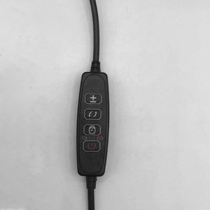 Oem kết nối 5V 12V cáp <span class=keywords><strong>USB</strong></span> với màu Dimmer on/off Power Timer nhà máy chuyển đổi ánh sáng Cáp - Product Image 2