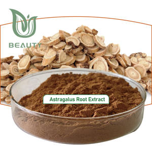 Polvo de extracto de raíz de astrágalo de alta calidad con certificado ISO, suplemento líquido a base de hierbas de 98% pureza, suministro a granel para la salud - Product Image 3