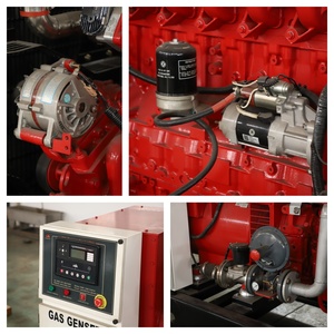 Generador <span class=keywords><strong>de</strong></span> Gas Natural <span class=keywords><strong>de</strong></span> Tipo Abierto <span class=keywords><strong>de</strong></span> 100kw 200kw 250kw 300kVA 350kVA a <span class=keywords><strong>Precio</strong></span> Económico <span class=keywords><strong>de</strong></span> Fábrica - Product Image 4
