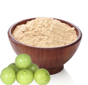 Premium Processed Amla <b>Extract</b> Powder Offering Excellent Compatibility for Powder Blends Nutritional Mixes Herbal Formulations - Product Image 1