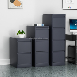 Meuble de rangement en acier au design moderne, armoire à dossiers à 2 tiroirs, casier métallique pour bureau, maison, école, hôpital, durable et organisateur - Product Image 6