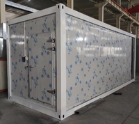 Equipo de Refrigeración Industrial de 20 pies y 40 pies con energía solar de congelación rápida contenedor de refrigeración para refrigeración de 20 pies