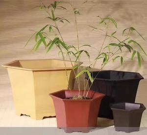 Pots de bonsaï en <span class=keywords><strong>plastique</strong></span> hexagonaux minces classiques de 22.7cm pour la <span class=keywords><strong>culture</strong></span> de petits arbres - Product Image 6