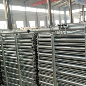 Xây dựng giàn giáo Vật liệu Vòng Khóa hệ thống layher mạ kẽm giàn giáo <span class=keywords><strong>ringlock</strong></span> giàn giáo xây dựng - Product Image 6