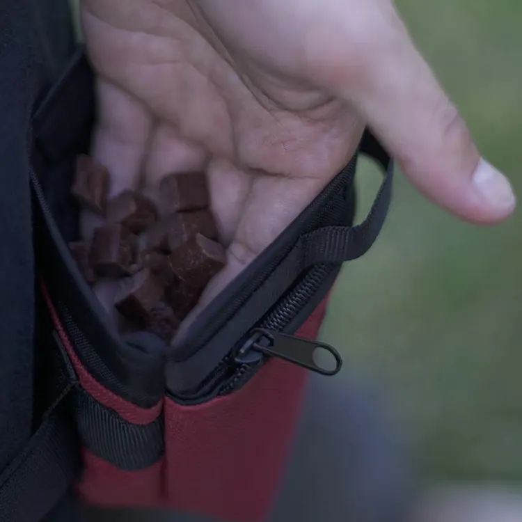 Bolsa de merienda para entrenamiento de perros, portátil y ligera para tren de mascotas, resistente al agua y duradera