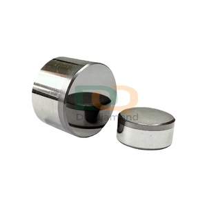 מכירה חמה של חותך <span class=keywords><strong>PDC</strong></span> קומפקטי מיהלום פוליקריסטלי לקידוחי נפט וגז, להכנסת <span class=keywords><strong>PCD</strong></span> ליישור, תוצרת סין - Product Image 5