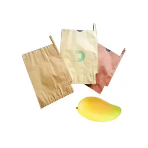 芒果水果防虫保护袋水果保护袋农业水果生长保护包装芒果纸袋