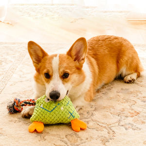 Grosir anjing peliharaan besar mainan tali pelatihan sikat gigi Anjing Ramah Lingkungan Mewah tahan lama pembersih gigi tali katun mengunyah mainan anjing - Product Image 2