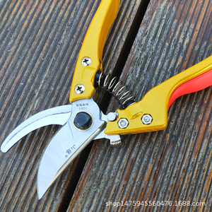 Mountain Wisteria V9 Pruning Shears 8 Inch Stainless Steel Blade For Fruit Trees And <b>Garden</b> Use - Product Image 5