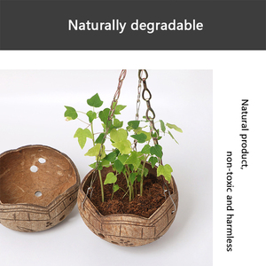 Ensemble de bols pour plantes, coquille de noix de <span class=keywords><strong>coco</strong></span> et de coquille de noix de <span class=keywords><strong>coco</strong></span>, pot de fleur - Product Image 6
