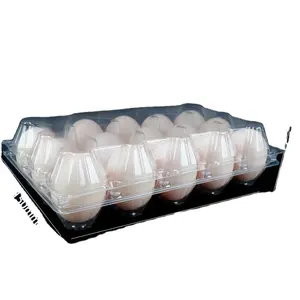 Embalagem em blister ecológica para ovos personalizados, recipiente de plástico personalizado de fábrica