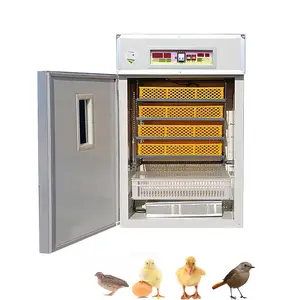Fábrica OEM incubadora de huevos de pollo incubadora de huevos en incubadora de huevos con incubadora para la venta