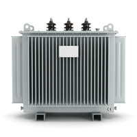 Yağlı Trafo 100kva 200kva 500kva 10kv 35kv Akıllı Elektrik Ekipmanları 50/60HZ üç fazlı