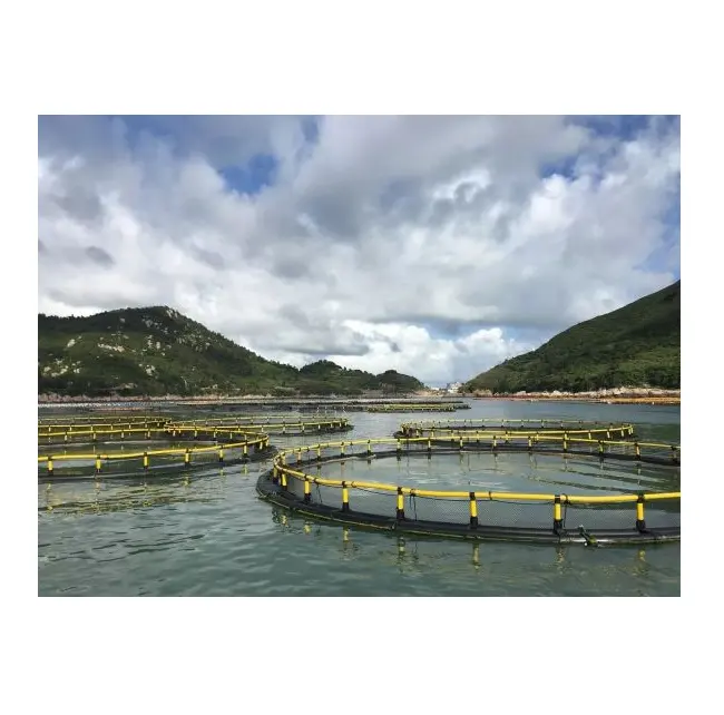 Circulaire Flottant Cages L'élevage des Poissons en Mer Tempête Résister