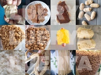 Alimentaire entièrement automatique 500 kg de morceaux de soja P h faisant l'extrudeuse de soja Machine à protéines de soja texturées Machine à extruder le soja
