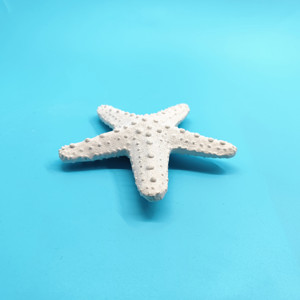 Artesanía en Resina, <span class=keywords><strong>Coral</strong></span> Blanco, Estrella de <span class=keywords><strong>Mar</strong></span> Hecha a Mano y Pintada a Mano, Figura en Forma de Estrella de 16x16x4cm para Decoración <span class=keywords><strong>del</strong></span> Hogar - Product Image 4