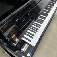 High Quality Feurich F122 Upright Piano Durable Construction Comfortable Touch for Family Use