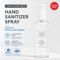 Spray désinfectant pour les mains à 75 % d'alcool, écologique, OEM, vente en gros, programmes de vente au détail, projets d'approvisionnement pour entreprises, prix d'usine
