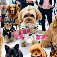 Collare per Cani XL Personalizzabile in PU, per Piccoli Animali, con Charm a Lettere, Nome Personalizzabile, Collare Fai-da-Te con Chiusura a Fibbia