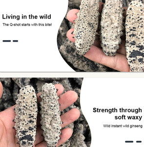 Cao Cấp Bán Buôn Nam Mỹ Khô Biển Dưa Chuột - Product Image 3