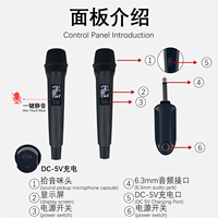Microphone sans fil professionnel GAW-DX25 avec fonction de silence à une touche pour conférence, karaoké, interview