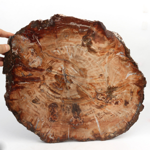 Grande plaque de cristal fossile brun naturel écologique de 30-40 cm, polie, pour la décoration artistique et les objets de collection - Product Image 4