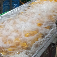 Lwt Fruit Groente Reinigingslijn Kern Plc Tandwielpomp Motor Voor Ananas Oranje Mango Knoflook Apple Tomaat Aardappel Wasmachine