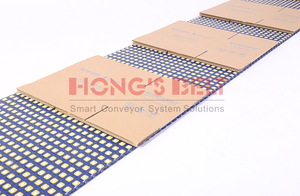 Băng Tải Phân Loại Băng Tải Bằng Nhựa POM/PP/PE HS-2800C Phân Loại Băng Tải Phân Loại Băng Tải Bằng Nhựa - Product Image 4