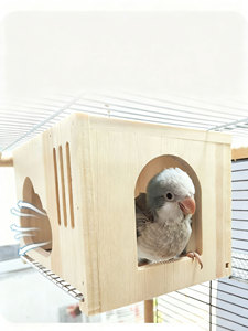 Çıkarılabilir örgü ile katı ahşap kuş yuvası-küçük papağanlar için kolay temiz havalandırılmış tasarım - Product Image 4