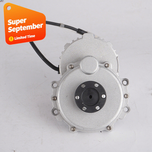 Moteur électrique sans balais Biote DC 250W 24V pour tondeuse à gazon, vélo électrique, bateau, moto, VTT, karting - Vente chaude - Product Image 1