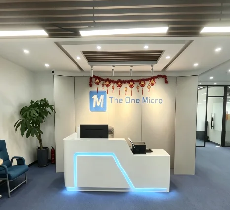 Wuhan The One Micro Technology Co., Ltd.