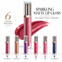 RTS Rouge à lèvres liquide mat velours diamanté 6ml, effet nacré, longue tenue, faible MOQ 3 pièces, vente en gros, logo personnalisé