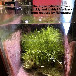 Lampe <span class=keywords><strong>LED</strong></span> intelligente ZETLIGHT E2 WiFi pour <span class=keywords><strong>aquarium</strong></span> marin, récif corallien, eau douce et <span class=keywords><strong>aquarium</strong></span> planté, à clipser, pour refuges d'<span class=keywords><strong>algues</strong></span> - Product Image 5