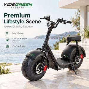 Scooter Eléctrico R1 de 1000W y 32km/h, Disponible en Distribuidores en Brasil, con Asiento Doble - Product Image 5