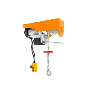 Chinese Suppliers 5 Kg Pa1200 Wire Rope Mini Electric Hoist Winch 220V 230 V High Speed 100KG 200KG PA 1000 800 600
