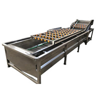 Commerciële volautomatische fruit- en groentereinigingsmachine Roestvrijstalen bubbelozonwasmachine Motor met hoge efficiëntie