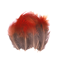 Plumes de poulet rouges naturelles pour la création de boucles d'oreilles, d'ailes, de attrape-rêves, d'activités créatives, de projets, de décorations de mariage, de fêtes et de maison