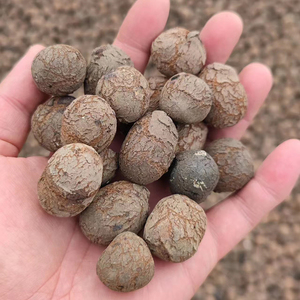 Giá cả cạnh tranh xây dựng Leca Balls Trọng lượng nhẹ mở rộng đất sét tổng hợp cách âm đất sét quả bóng - Product Image 4