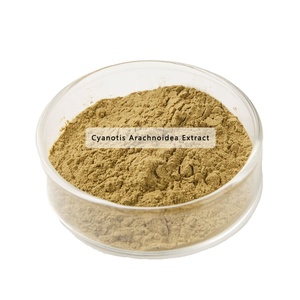 ภาชนะบรรจุแก้วแบบดรัม90% เบต้า <span class=keywords><strong>ecdysterone</strong></span> สารสกัดจากสมุนไพร cyanotis arachnoidea แบบผง - Product Image 1